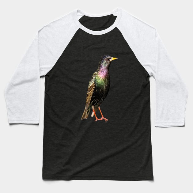 European starling Baseball T-Shirt by CavaloBiianco